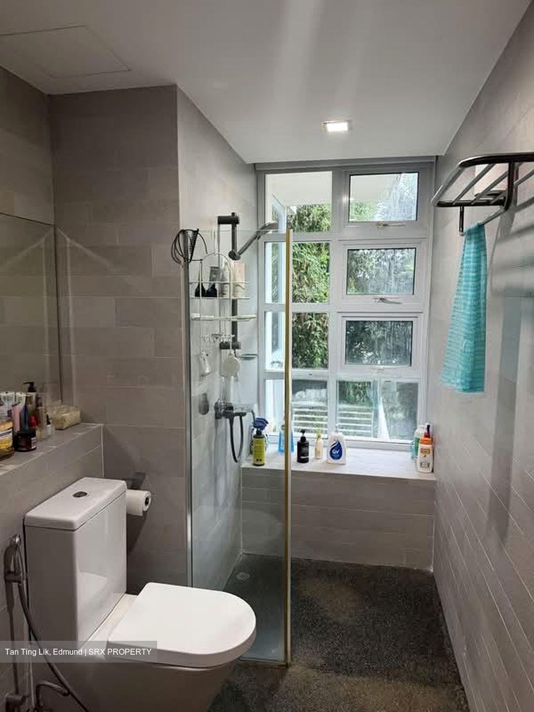 One K Greenlane (D15), Apartment #568212111